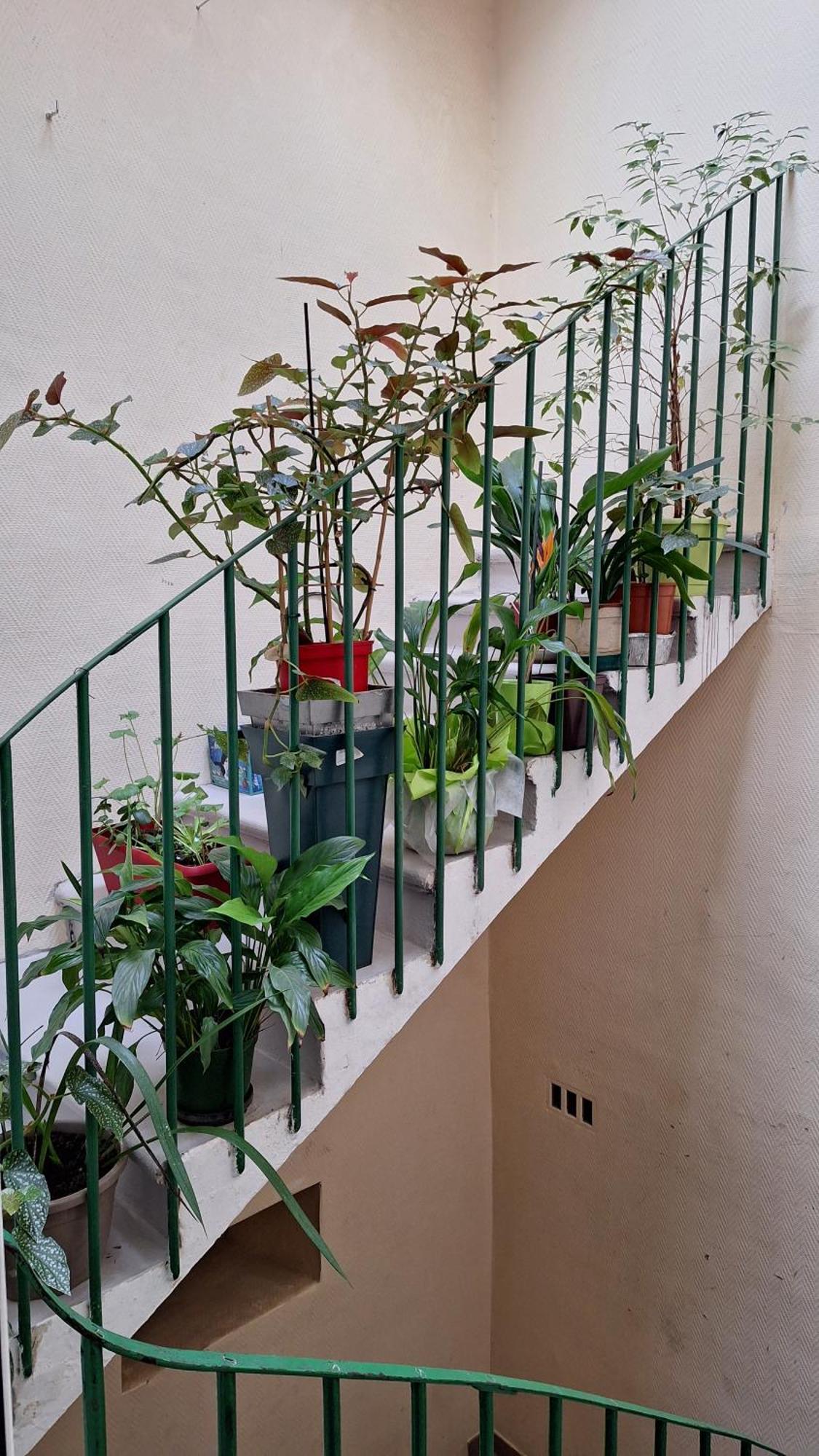 Vacance Et Cure Dans Duplex 80 M2 A Ceret 66400 Eksteriør bilde